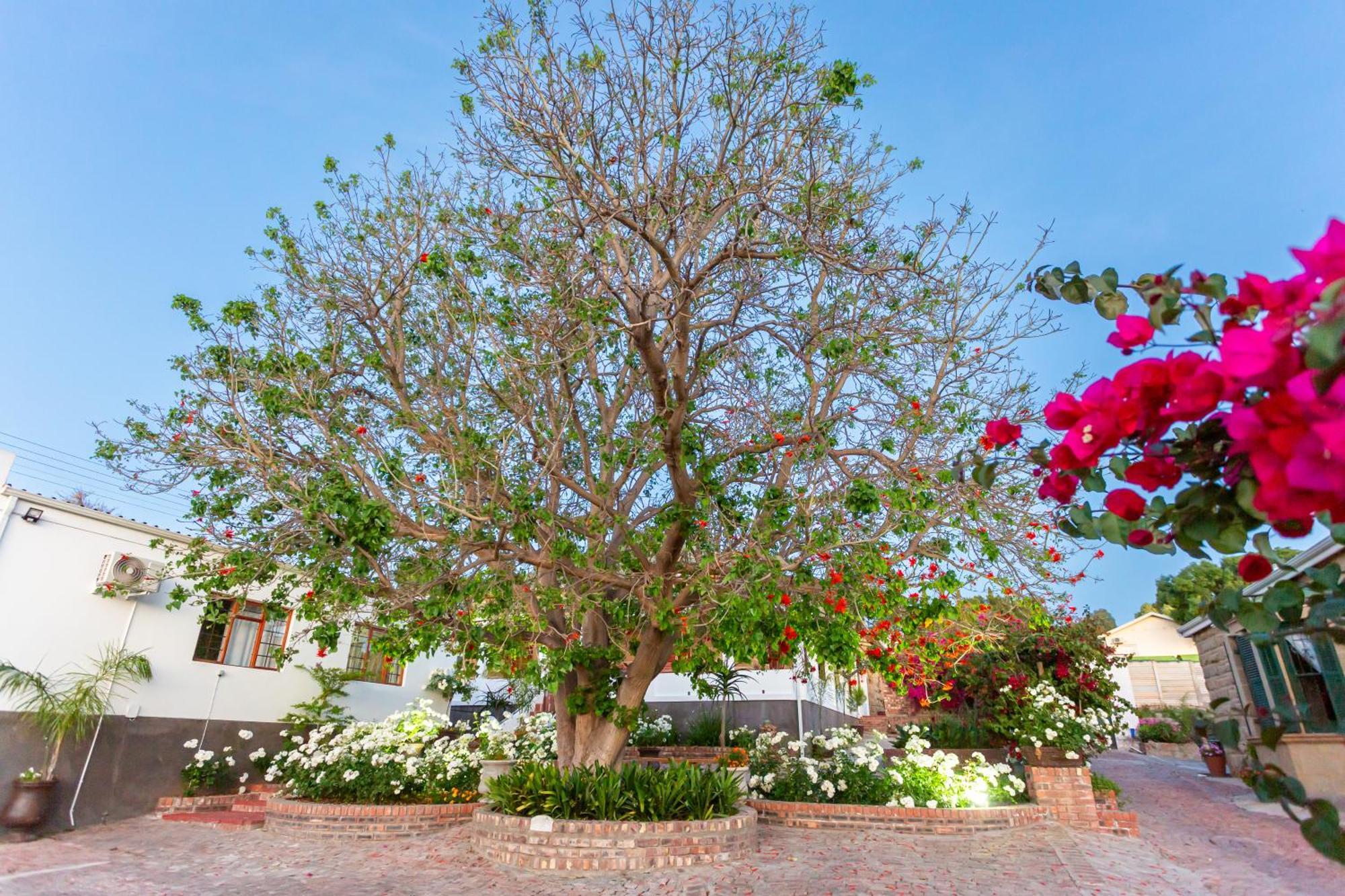 Hotel Ravenscliff Manor Oudtshoorn Exterior foto